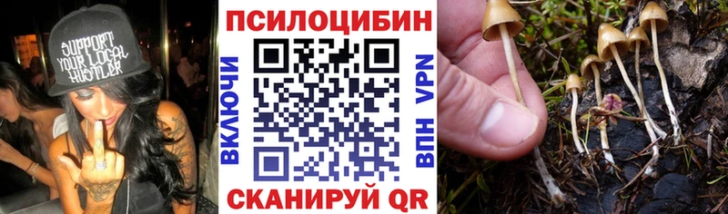 наркота  Анапа  Галлюциногенные грибы MAGIC MUSHROOMS 